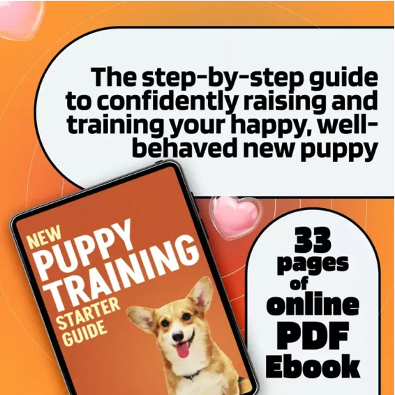New Puppy Training Starter Guide | for Beginners | 4-Week Puppy Routine